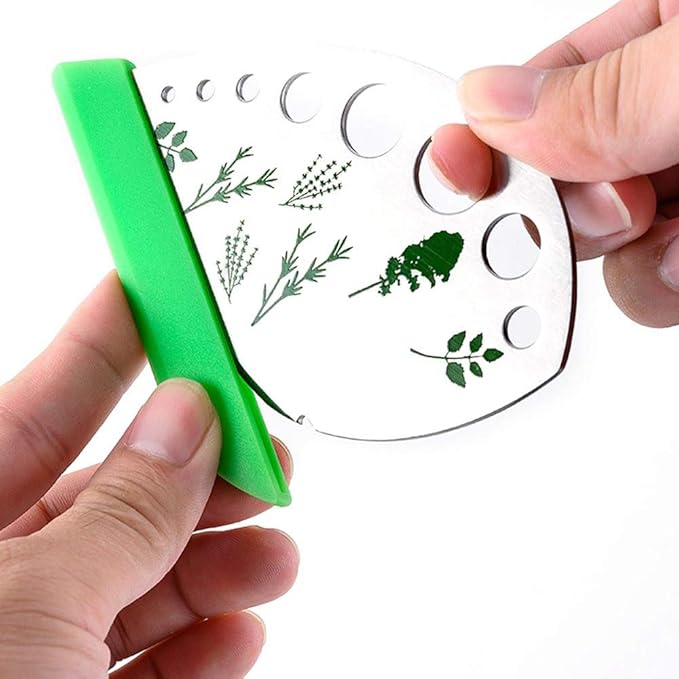 BENEKIY Scissors Herb Stripper Tools Kits 5-Blades Stainless Steel Scissors with Kitchen Herb Stripping Tool, Safe Cover, Cleaning Comb Multipurpose Kitchen Chopping Shear, Mincer