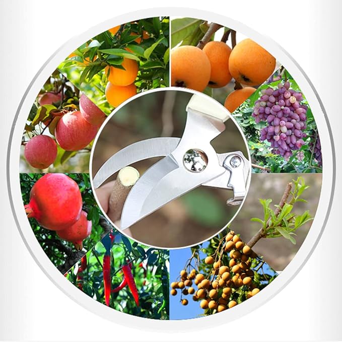 Leize Pruning Shears, Gardening Hand Pruner, Floral Shears, Strong Pruner for Flowers, Branches and Leaves (CreamA)