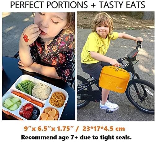 Bento-Box with Bag and Ice Pack. Lunch Boxes Snack Containers for Kids Boys Girls Adults. 6 Compartments, Leakproof Portion Container Boxes Insulated Bags for School Lunches, BPA Free, Orange