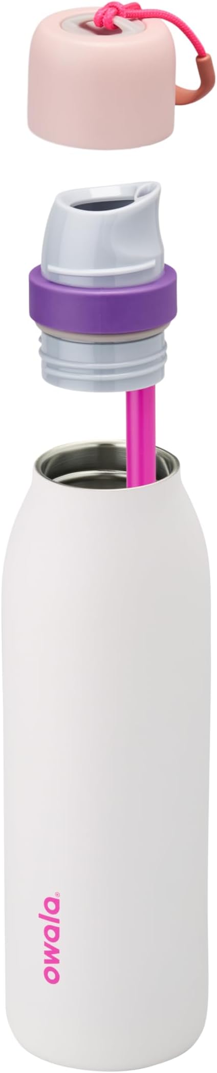 Owala FreeSip Twist Insulated Stainless Steel Water Bottle with Straw for Sports and Travel, BPA-Free, 18-oz, Pink/Purple (Dreamy Field)
