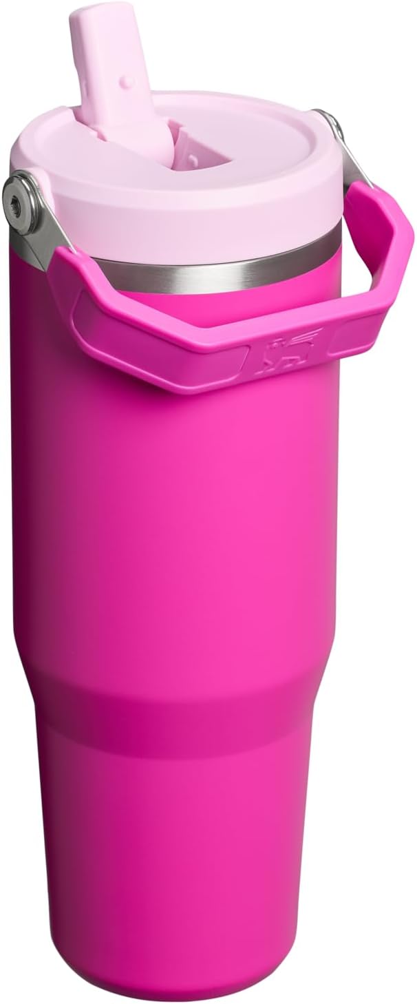 STANLEY IceFlow 2.0 Flip Straw Tumbler with Handle 30 oz | Twist On Lid and Flip Up Straw | Leak Resistant Water Bottle | Insulated Stainless Steel | BPA-Free | Violet Blossom