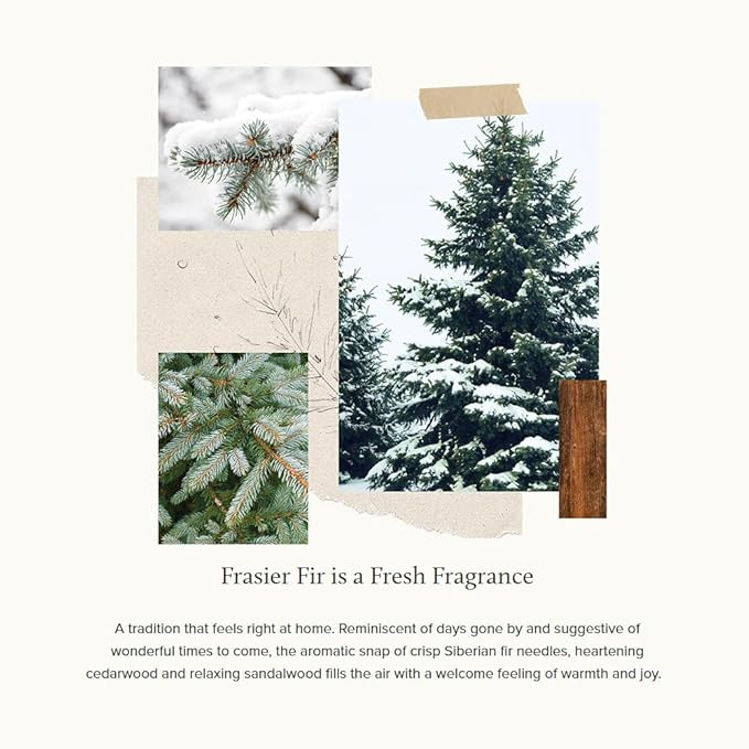 Thymes Frasier Fir Reed Diffuser Set – Includes Reeds, Fragrance Oil, and Frosted Glass Bottle – Fragrance Oil Diffuser – Room Fresheners – Luxury Home Decor – Silver (Statement, 4 fl oz)