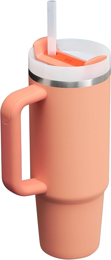 STANLEY Quencher H2.0 Tumbler with Handle and Straw 30 oz | Flowstate 3-Position Lid | Cup Holder Compatible for Travel | Insulated Stainless Steel Cup | BPA-Free | Nectarine