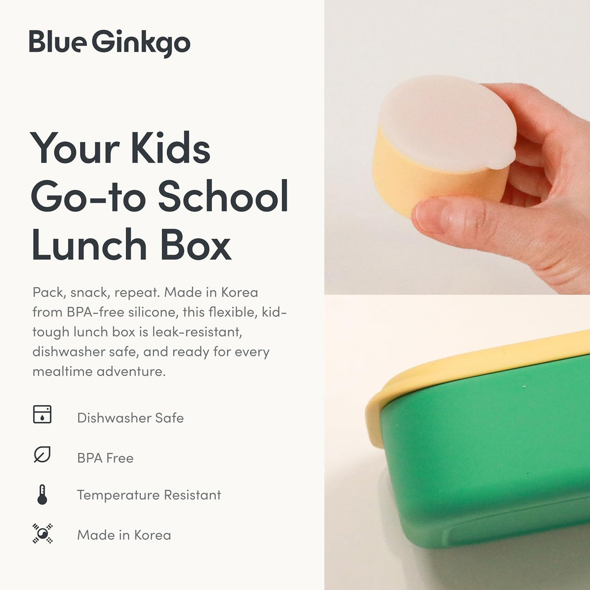 BLUE GINKGO Silicone Lunch Box Set – Durable Heavy-Duty Silicone Bento Box, Microwave, Freezer, Dishwasher Safe – Airtight, BPA Free (Made in Korea, Green)
