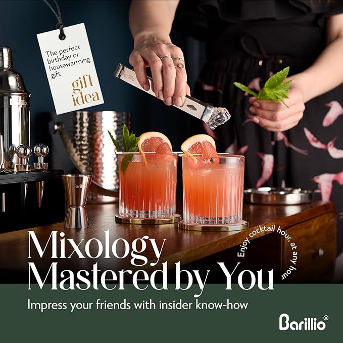 Barillio Silver Bartender Kit - Stainless-Steel Cocktail Shaker Set w/Black Bamboo Stand - Mixology Bar Tools w/Drink Shaker, Mixer & Muddler for Cocktails - Home Bar Accessories - 23-Pc Bar Set