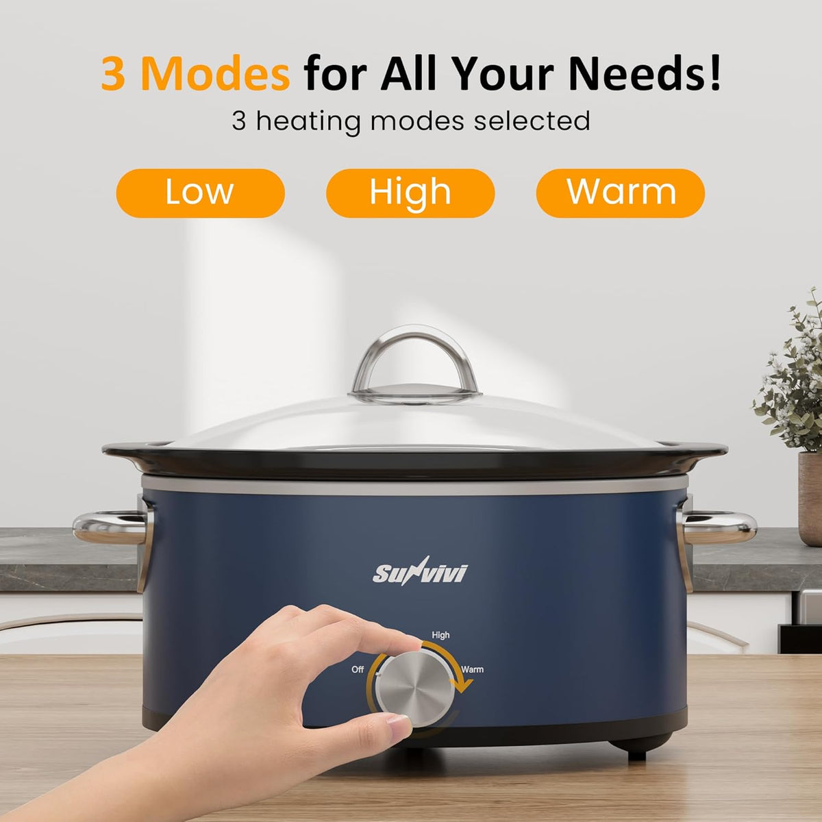 Sunvivi 3 Quart Slow Cooker & Mini Food Warmer with 3 Heating Settings, Removable Ceramic Pot, Dishwasher Safe Glass Lid, Stainless Steel, Blue