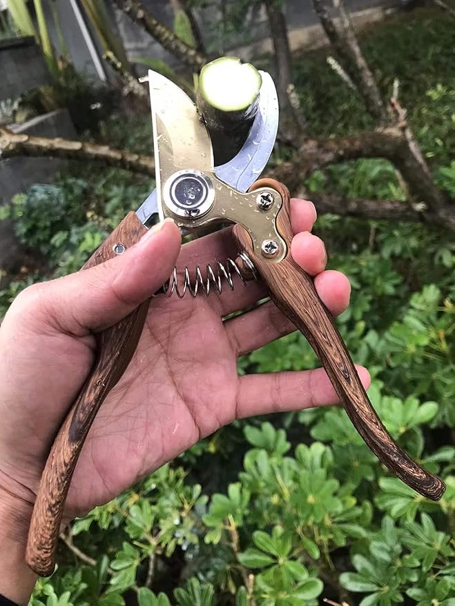 Garden Shears, Japanese Floral branch cutters, Snips for Gardening, Flower scissors Florist clippers, Hand Held Pruners for Gardening Heavy Duty, Pruning shears for garden (Wood grain)
