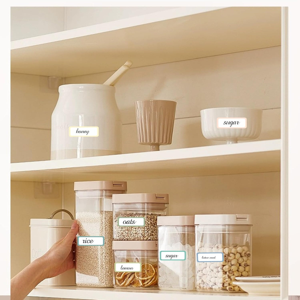 STARLIBOO Removable Labels, Removable Colored Labels Stickers, Self-Adhesive Rectangular Stickers Water/Oil/Tear Resistant for Food Containers/Classroom/Storage (8 Colors, 240 Labels)
