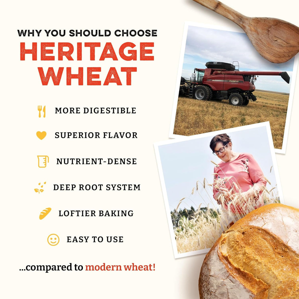Sunrise Flour Mill Heritage Organic Bread Flour Blend - 2.0 lbs | Organic Unbleached Bread Flour Easy to Digest with Less Bloating | High Protein for Superior Baking | Smooth, Nutty Flavor