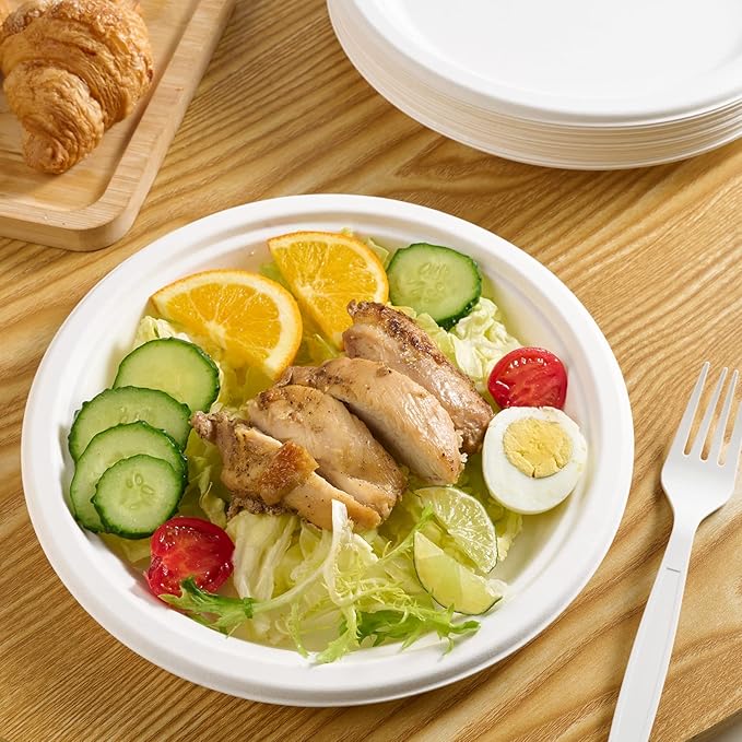 Vplus 500 Pack Paper Plates 9 inch 100% Compostable, Heavy-Duty Disposable Paper Plates Bagasse Natural Biodegradable Eco-Friendly Sugarcane（White）