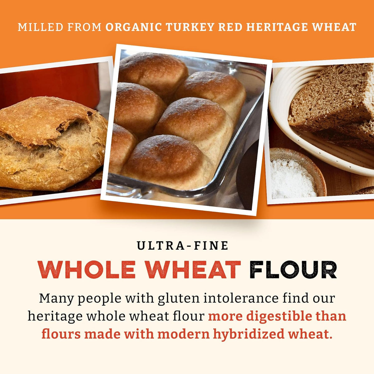 Sunrise Flour Mill Heritage Organic Whole Wheat Flour - 5 lbs | Milled from red hard wheat within 10 Days | Easier to Digest with Less Bloating | No Bleaching | Organic whole wheat bread flour