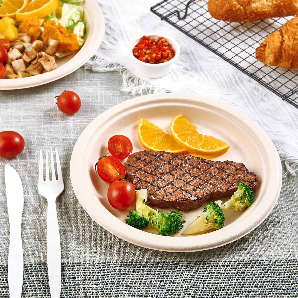 Vplus 150 Pack Paper Plates 9 inch 100% Compostable, Heavy-Duty Disposable Paper Plates Bagasse Natural Biodegradable Eco-Friendly Sugarcane