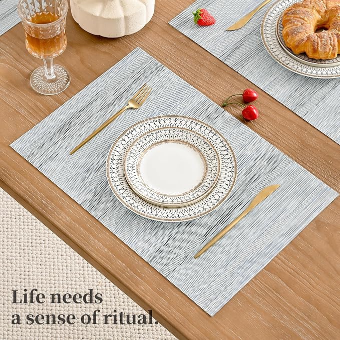 Leetaltree LightSteel Blue Placemats Set of 8 - Heat Resistant Non-Slip Place mats for Dining Table, Washable Durable PVC Vinyl Woven Table Mats（LightSteel Blue, 8）