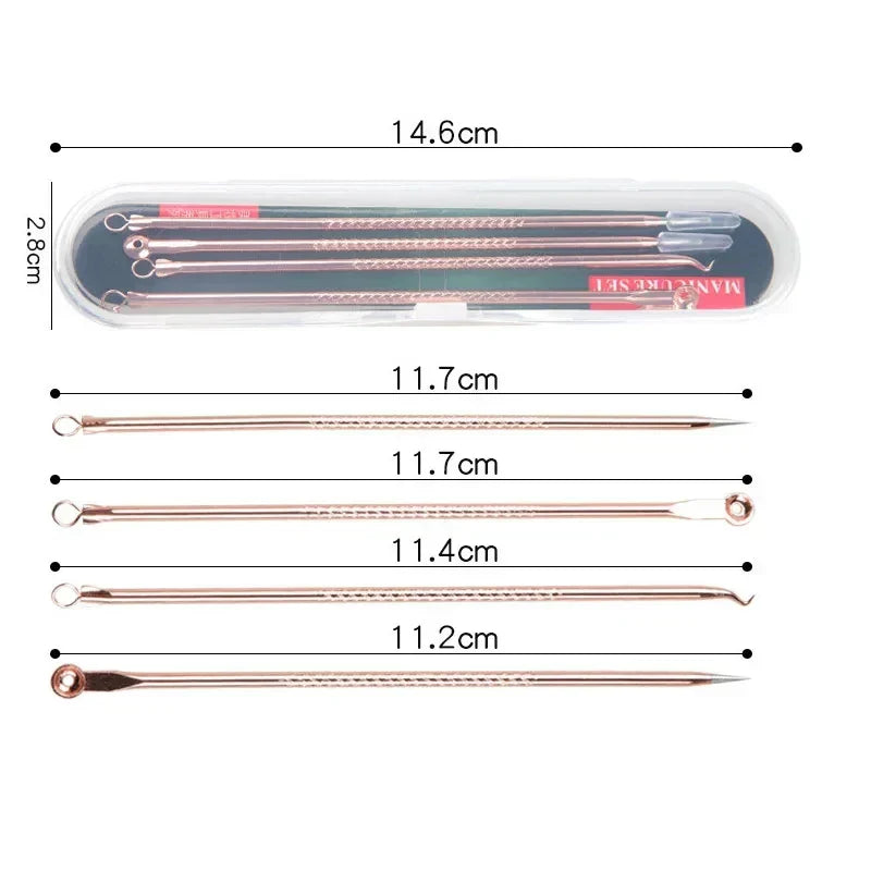 4PCS Blackhead Removal Needle Set