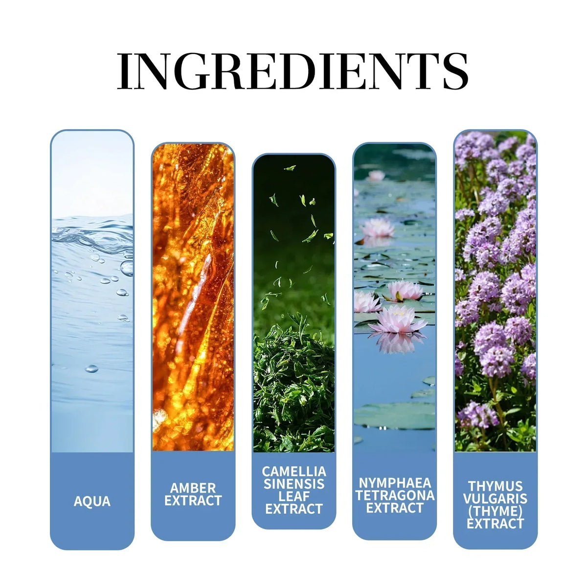 Men's Tea Fragrance Perfume